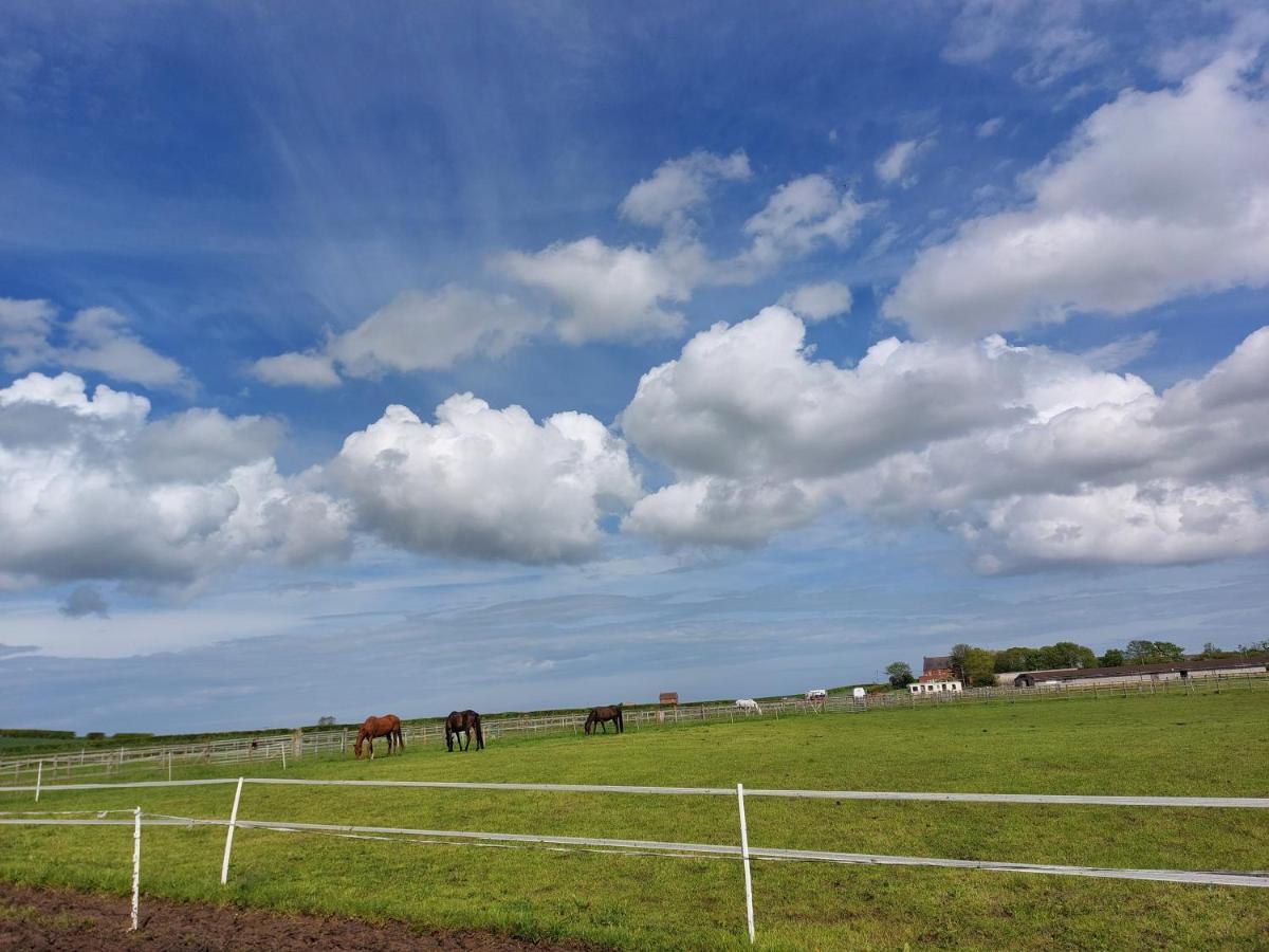 Hotel Braemar Equestrian, East Riding Of Yorkshire à Burton Pidsea Extérieur photo
