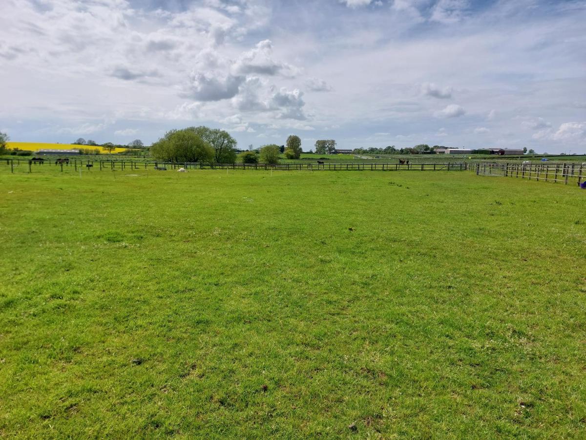 Hotel Braemar Equestrian, East Riding Of Yorkshire à Burton Pidsea Extérieur photo